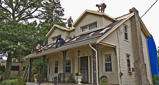 Best Storm Damage Roof Repair  in Scottsville, KY